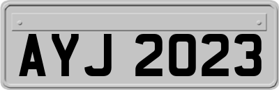 AYJ2023