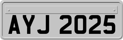AYJ2025