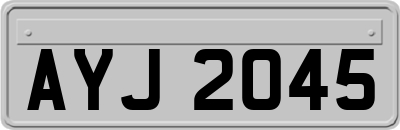 AYJ2045