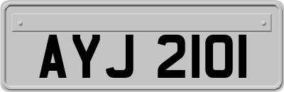 AYJ2101