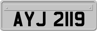 AYJ2119