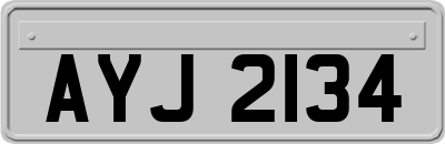 AYJ2134