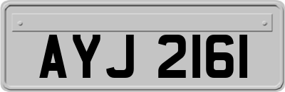 AYJ2161
