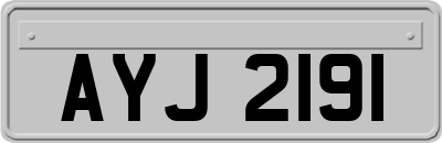 AYJ2191