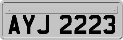 AYJ2223