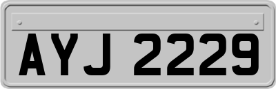 AYJ2229