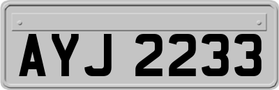 AYJ2233
