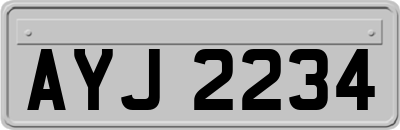 AYJ2234
