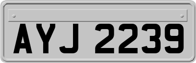 AYJ2239