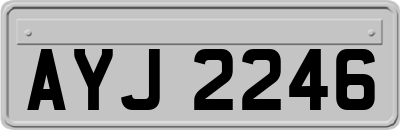 AYJ2246