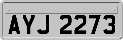AYJ2273