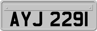 AYJ2291