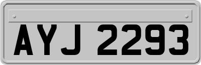 AYJ2293