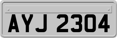 AYJ2304