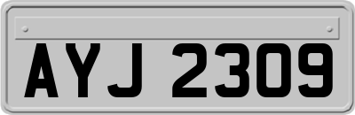 AYJ2309