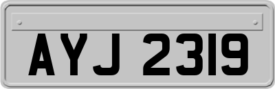 AYJ2319
