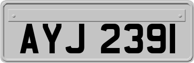 AYJ2391