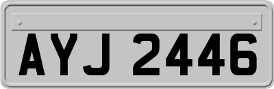 AYJ2446