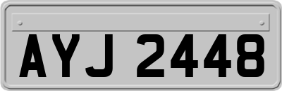 AYJ2448