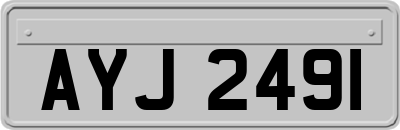 AYJ2491
