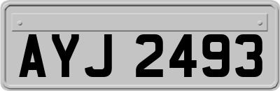 AYJ2493