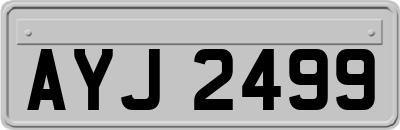 AYJ2499