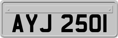 AYJ2501