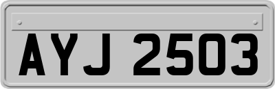 AYJ2503