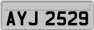 AYJ2529