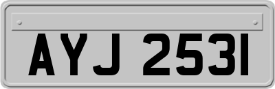 AYJ2531