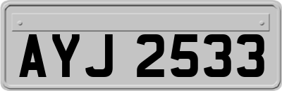 AYJ2533