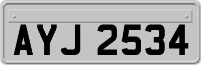 AYJ2534