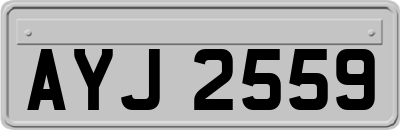 AYJ2559