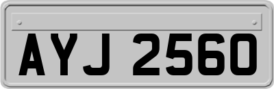 AYJ2560