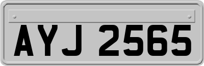 AYJ2565