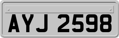 AYJ2598