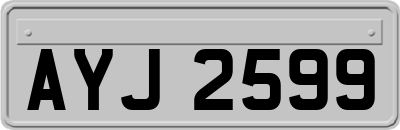 AYJ2599