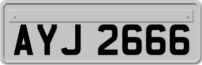 AYJ2666