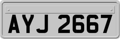 AYJ2667