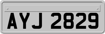AYJ2829