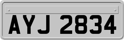 AYJ2834