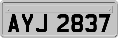 AYJ2837