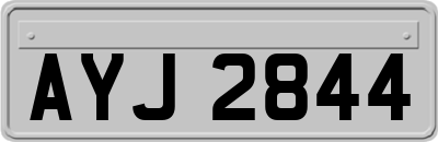 AYJ2844