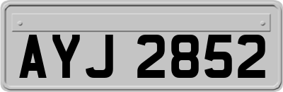 AYJ2852