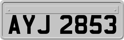 AYJ2853