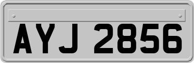 AYJ2856