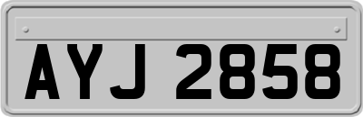 AYJ2858