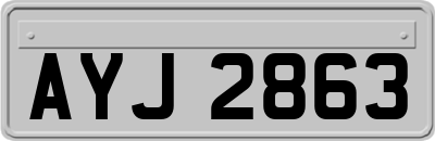 AYJ2863