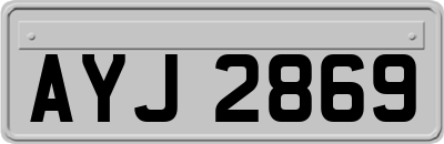 AYJ2869