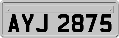 AYJ2875
